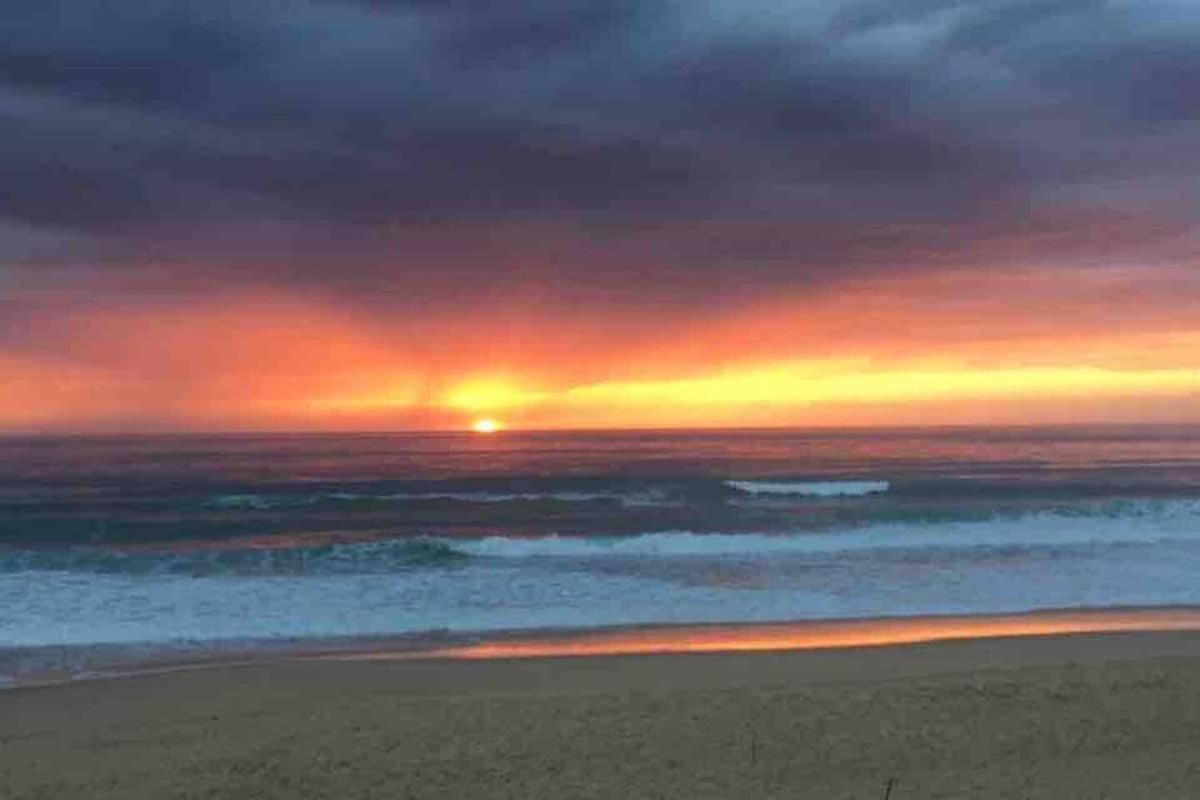 La Graviere, Cozy Studio Wifi & Parking 20M Ocean Surf Plage Soorts-Hossegor Bagian luar foto