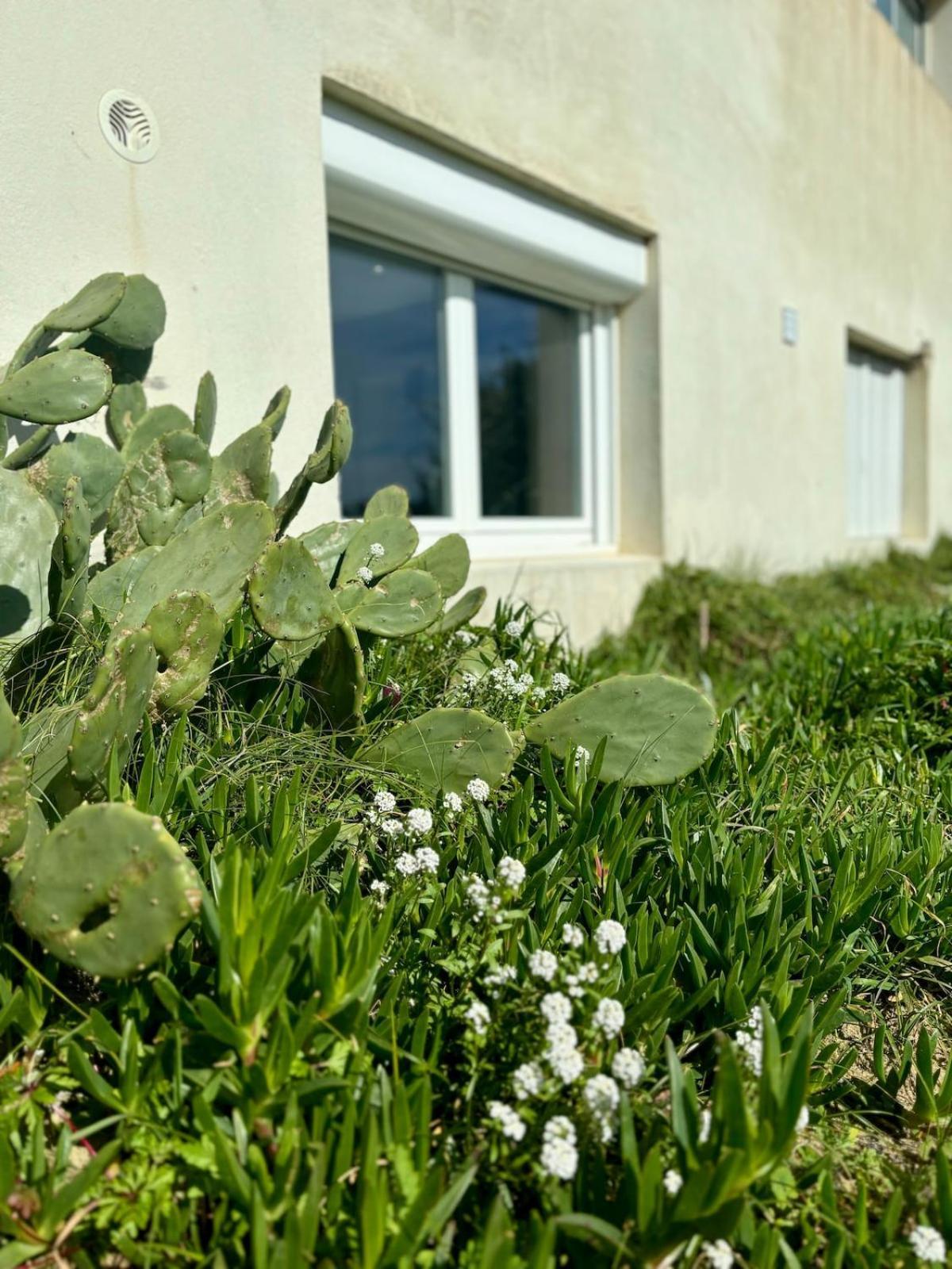 La Graviere, Cozy Studio Wifi & Parking 20M Ocean Surf Plage Soorts-Hossegor Bagian luar foto